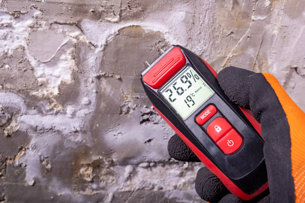 Best Mold Remediation  in Huntington, UT