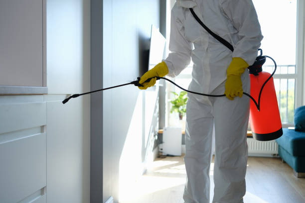 Professional Mold Removal in Huntington, UT