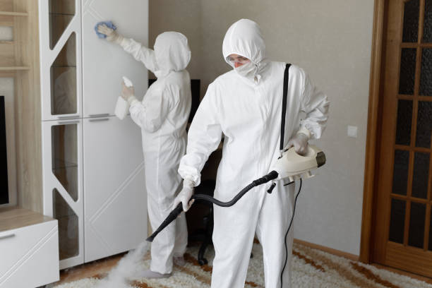Crawl Space Mold Removal in Huntington, UT